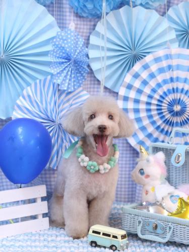 20231129ロンくん